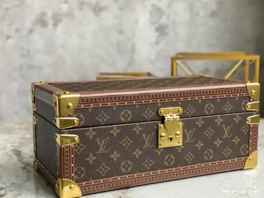 AAA Pruses Bags LOUIS COFFRET VUITTON ACCESSOIRES 0525